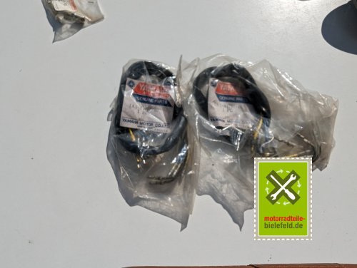 PXL_20240523_152238274
